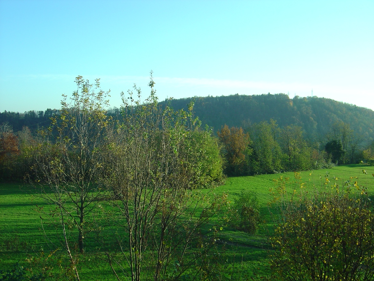 Pard&agrave;